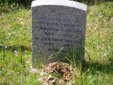 image of grave number 795961